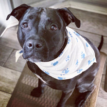 Load image into Gallery viewer, White Handmade Block Printed Dog Bandana | 20% goes to stray dogs in India