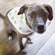 Load image into Gallery viewer, White Handmade Block Printed Dog Bandana | 20% goes to stray dogs in India