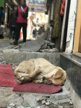 Load image into Gallery viewer, Varanasi Om Block Print Orange Scarf