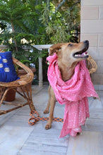 Load image into Gallery viewer, Bandhani Pink Scarf For Women
