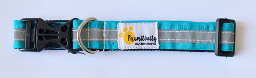 Donate a $1 Reflective Stray Dog Collar